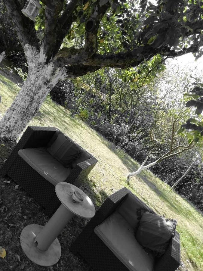 Escapade Champetre Bed and Breakfast Hauteville-sur-Fier Exterior foto